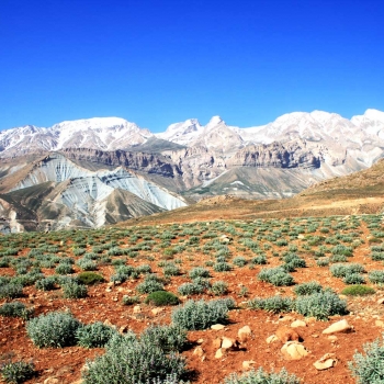 Iran Mountaineering Tours - Travel Agency - kalouttour.com