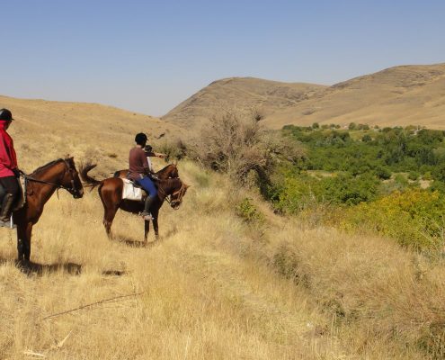 Hamedan Horseback riding